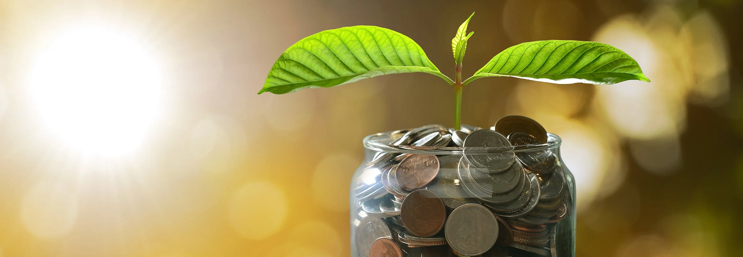 PBC’s Middle-Income Inflation Monitor June 2026